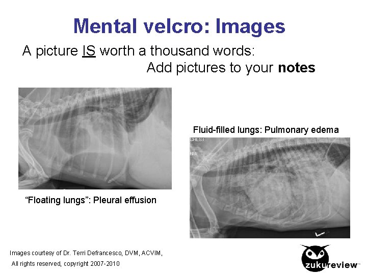 Mental velcro: Images A picture IS worth a thousand words: Add pictures to