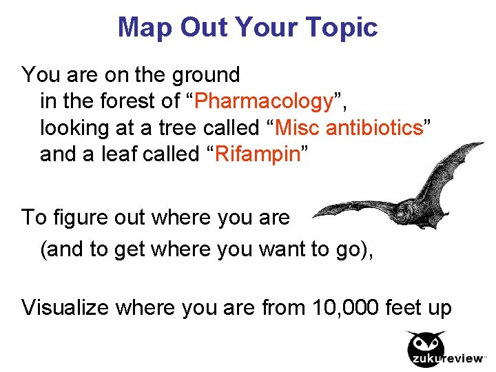Map Out Your Topic You are on the ground in the forest of “Pharmacology”,