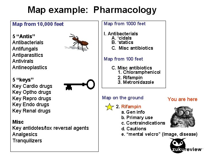 Map example: Pharmacology Map from 10, 000 feet 5 “Antis” Antibacterials Antifungals Antiparasitics Antivirals