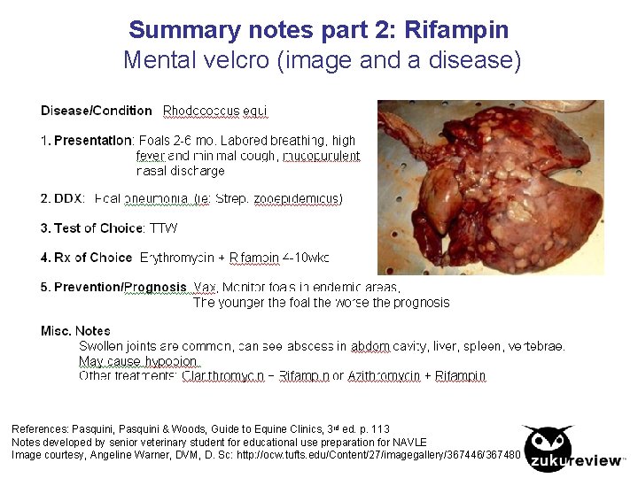 Summary notes part 2: Rifampin Mental velcro (image and a disease) References: Pasquini, Pasquini