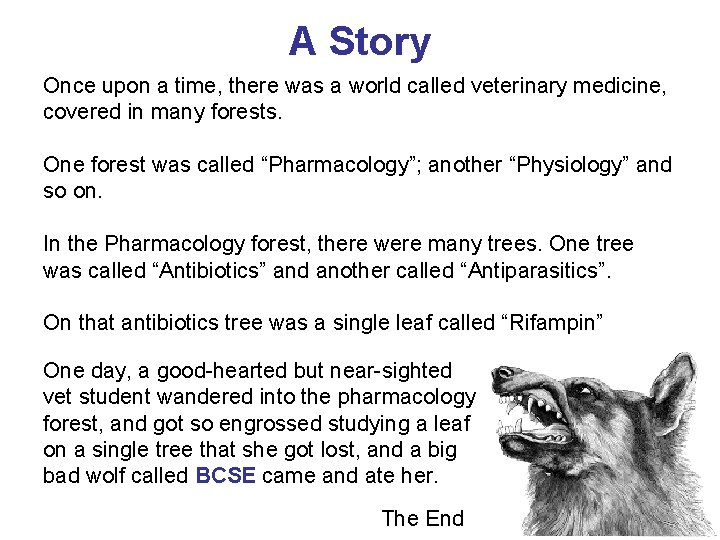 A Story Once upon a time, there was a world called veterinary medicine, covered