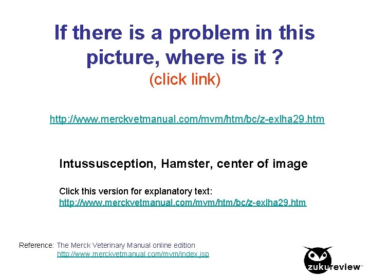 If there is a problem in this picture, where is it ? (click link)