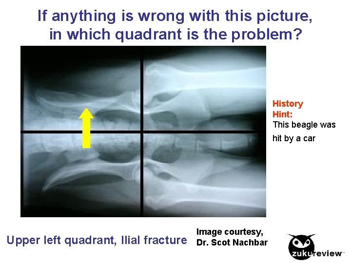If anything is wrong with this picture, in which quadrant is the problem? History