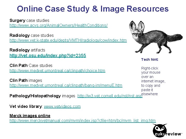 Online Case Study & Image Resources Surgery case studies http: //www. acvs. org/Animal. Owners/Health.