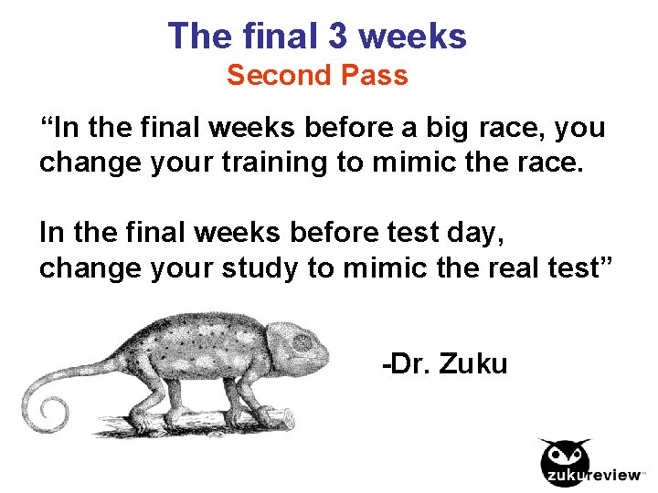 The final 3 weeks Second Pass “In the final weeks before a big race,