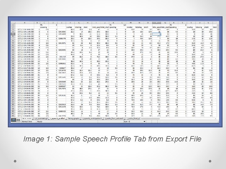 Image 1: Sample Speech Profile Tab from Export File 