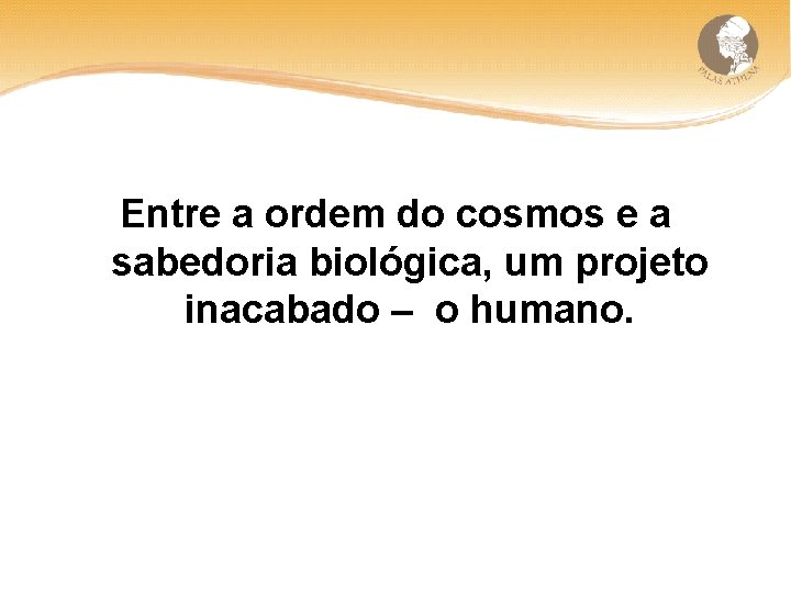 Entre a ordem do cosmos e a sabedoria biológica, um projeto inacabado – o