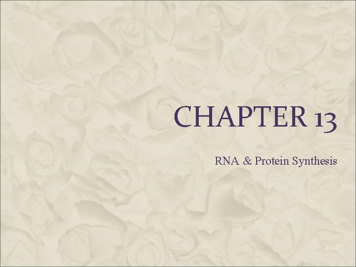 CHAPTER 13 RNA & Protein Synthesis CHAPTER 13 RNA & Protein Synthesis
