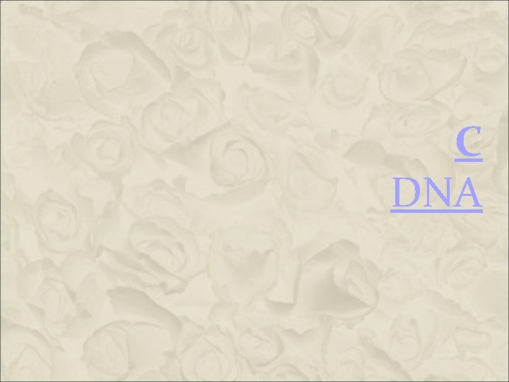 C DNA C DNA