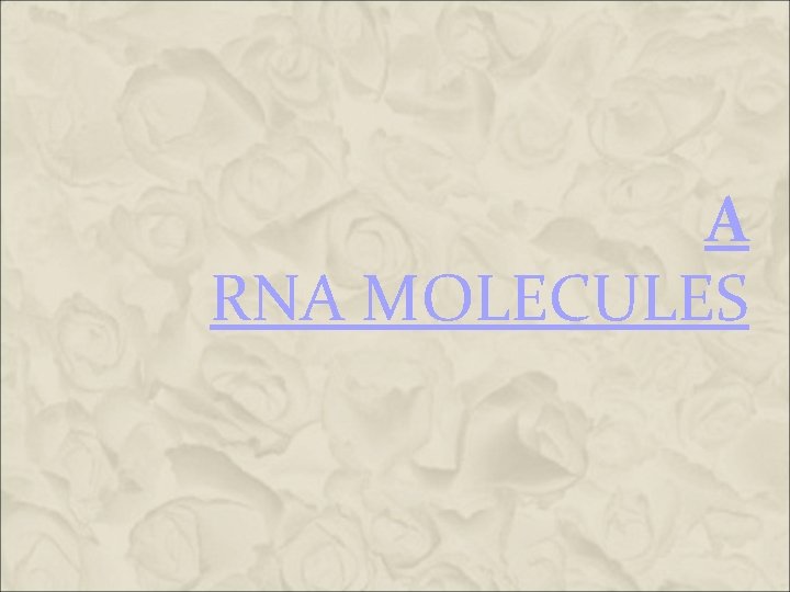A RNA MOLECULES A RNA MOLECULES