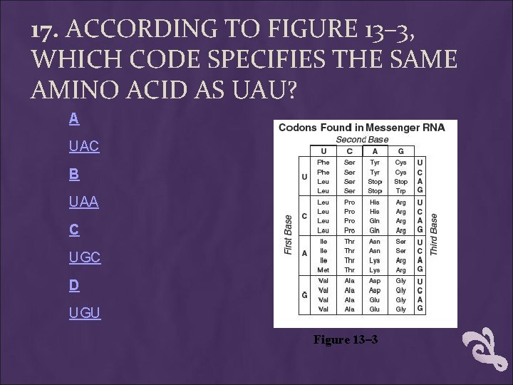 17. ACCORDING TO FIGURE 13– 3, WHICH CODE SPECIFIES THE SAME AMINO ACID AS 17. ACCORDING TO FIGURE 13– 3, WHICH CODE SPECIFIES THE SAME AMINO ACID AS