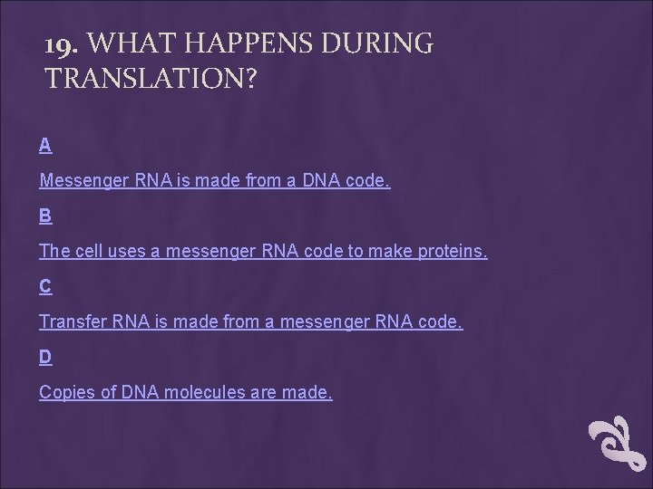 19. WHAT HAPPENS DURING TRANSLATION? A Messenger RNA is made from a DNA code. 19. WHAT HAPPENS DURING TRANSLATION? A Messenger RNA is made from a DNA code.