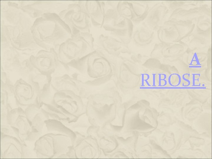 A RIBOSE. A RIBOSE.