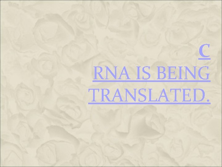 C RNA IS BEING TRANSLATED. C RNA IS BEING TRANSLATED.