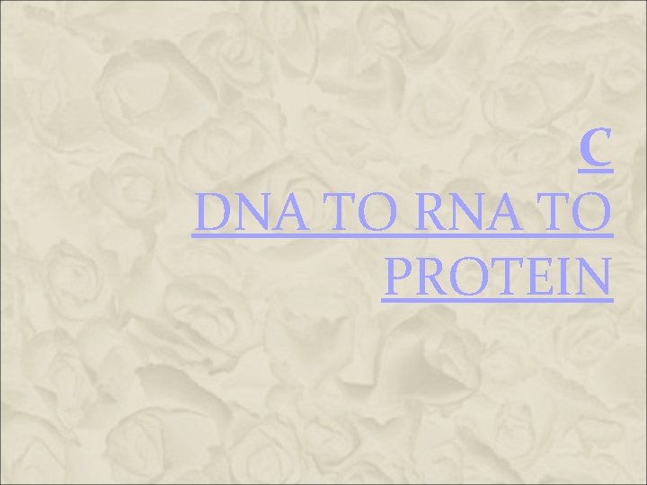 C DNA TO RNA TO PROTEIN C DNA TO RNA TO PROTEIN