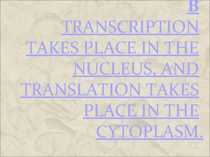 B TRANSCRIPTION TAKES PLACE IN THE NUCLEUS, AND TRANSLATION TAKES PLACE IN THE CYTOPLASM. B TRANSCRIPTION TAKES PLACE IN THE NUCLEUS, AND TRANSLATION TAKES PLACE IN THE CYTOPLASM.