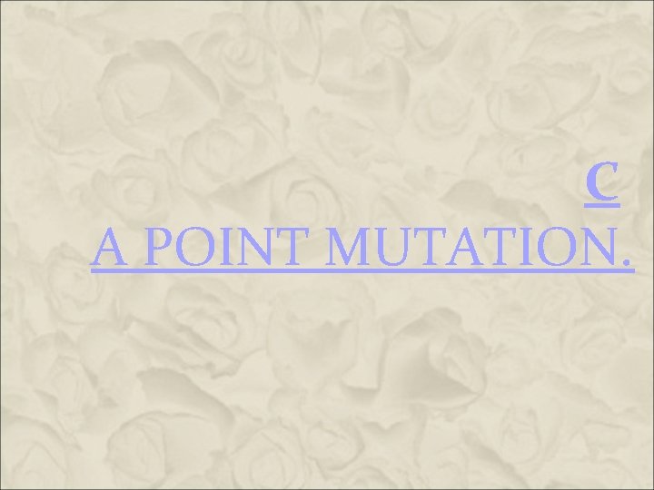 C A POINT MUTATION. C A POINT MUTATION.