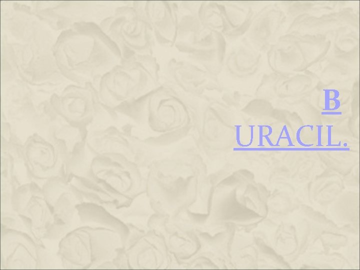 B URACIL. B URACIL.