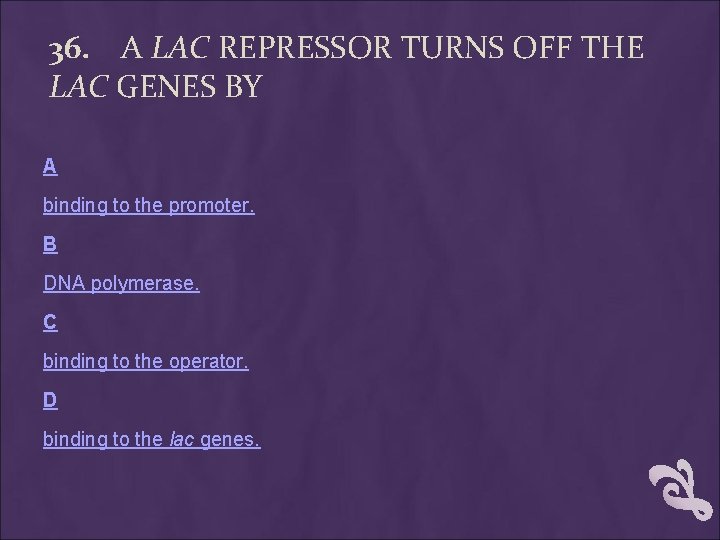 36. A LAC REPRESSOR TURNS OFF THE LAC GENES BY A binding to the 36. A LAC REPRESSOR TURNS OFF THE LAC GENES BY A binding to the