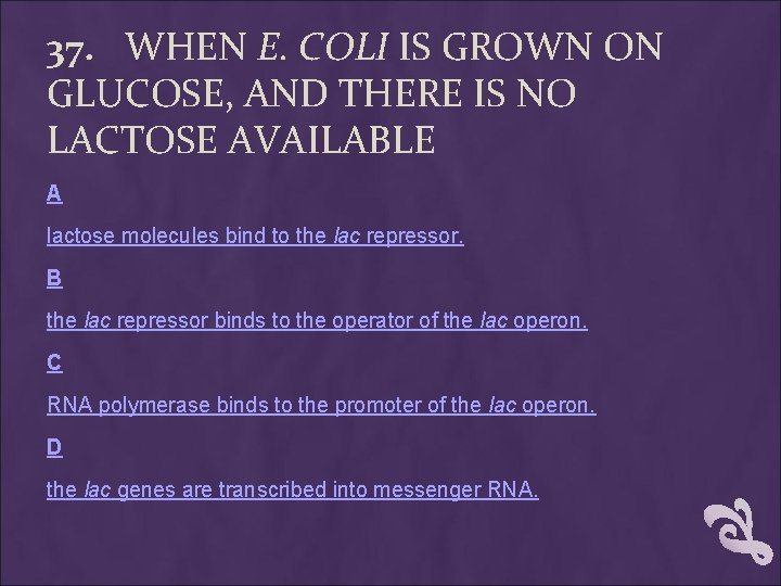 37. WHEN E. COLI IS GROWN ON GLUCOSE, AND THERE IS NO LACTOSE AVAILABLE 37. WHEN E. COLI IS GROWN ON GLUCOSE, AND THERE IS NO LACTOSE AVAILABLE