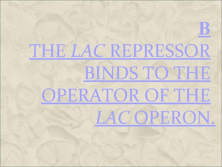 B THE LAC REPRESSOR BINDS TO THE OPERATOR OF THE LAC OPERON. B THE LAC REPRESSOR BINDS TO THE OPERATOR OF THE LAC OPERON.
