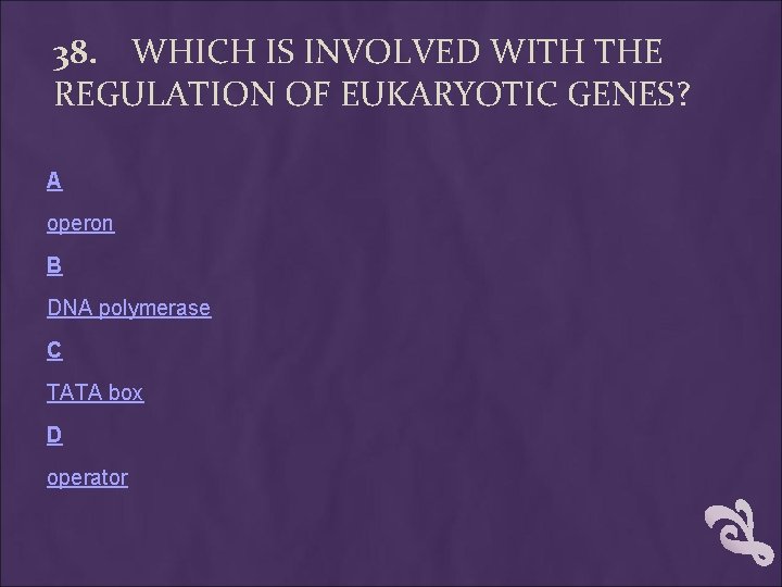 38. WHICH IS INVOLVED WITH THE REGULATION OF EUKARYOTIC GENES? A operon B DNA 38. WHICH IS INVOLVED WITH THE REGULATION OF EUKARYOTIC GENES? A operon B DNA