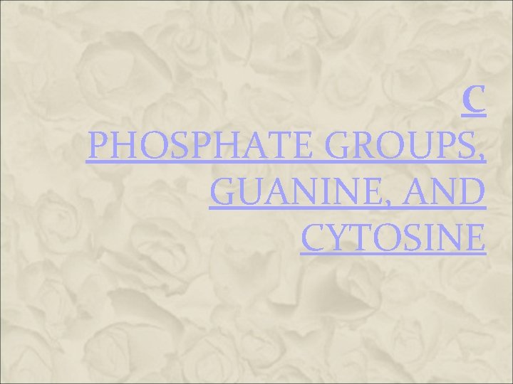 C PHOSPHATE GROUPS, GUANINE, AND CYTOSINE C PHOSPHATE GROUPS, GUANINE, AND CYTOSINE