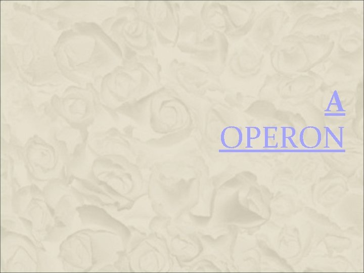 A OPERON A OPERON