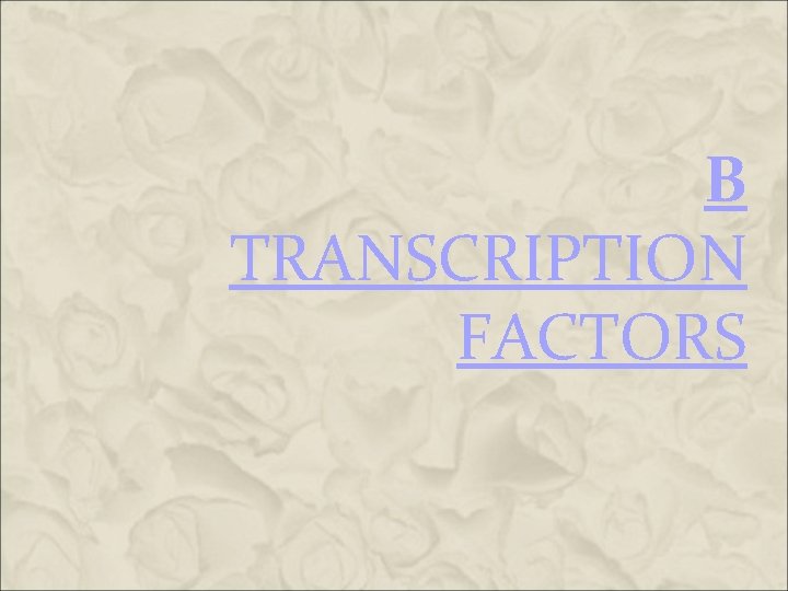 B TRANSCRIPTION FACTORS B TRANSCRIPTION FACTORS