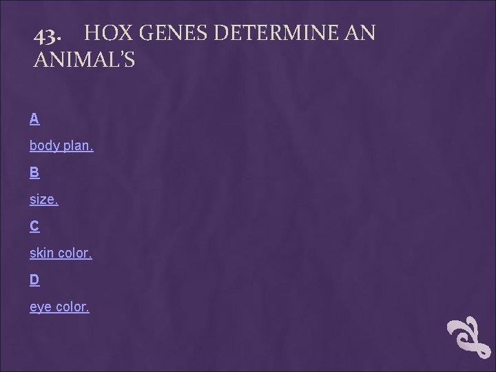 43. HOX GENES DETERMINE AN ANIMAL’S A body plan. B size. C skin color. 43. HOX GENES DETERMINE AN ANIMAL’S A body plan. B size. C skin color.