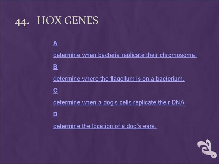 44. HOX GENES A determine when bacteria replicate their chromosome. B determine where the 44. HOX GENES A determine when bacteria replicate their chromosome. B determine where the