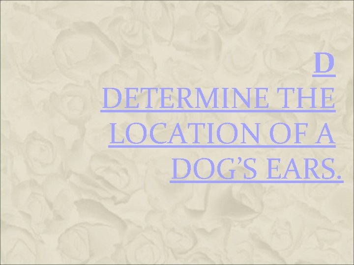 D DETERMINE THE LOCATION OF A DOG’S EARS. D DETERMINE THE LOCATION OF A DOG’S EARS.