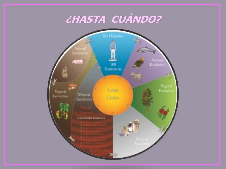 ¿HASTA CUÁNDO? ¿HASTA CUÁNDO?