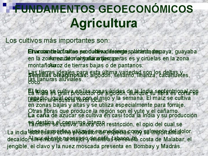 FUNDAMENTOS GEOECONÓMICOS Agricultura Los cultivos más importantes son: El Enarroz cuanto delacual frutas se