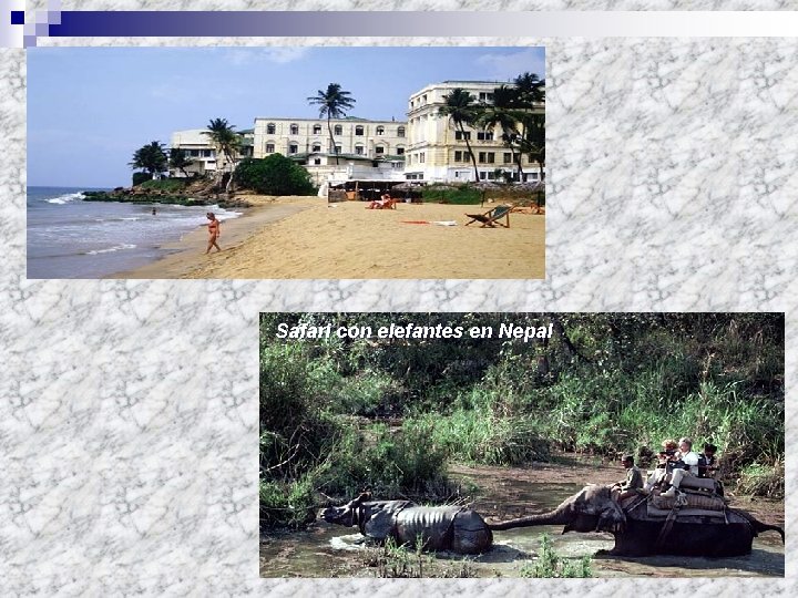 Safari con elefantes en Nepal 