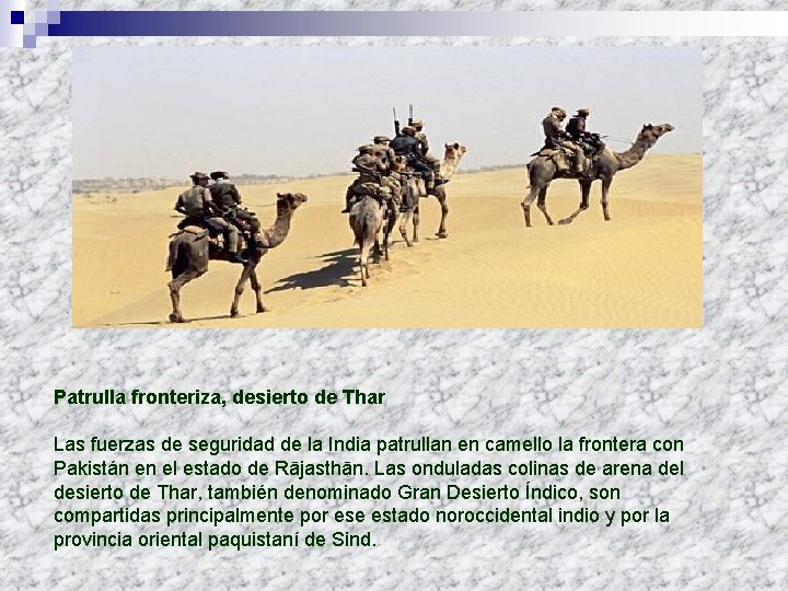 Patrulla fronteriza, desierto de Thar Las fuerzas de seguridad de la India patrullan en