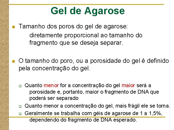 Gel de Agarose n Tamanho dos poros do gel de agarose: diretamente proporcional ao