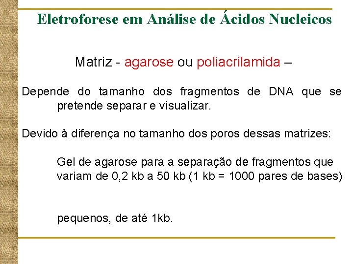  Eletroforese em Análise de Ácidos Nucleicos Matriz - agarose ou poliacrilamida – Depende