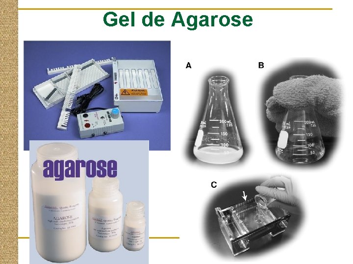 Gel de Agarose 