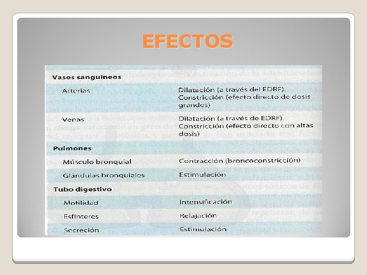 EFECTOS 