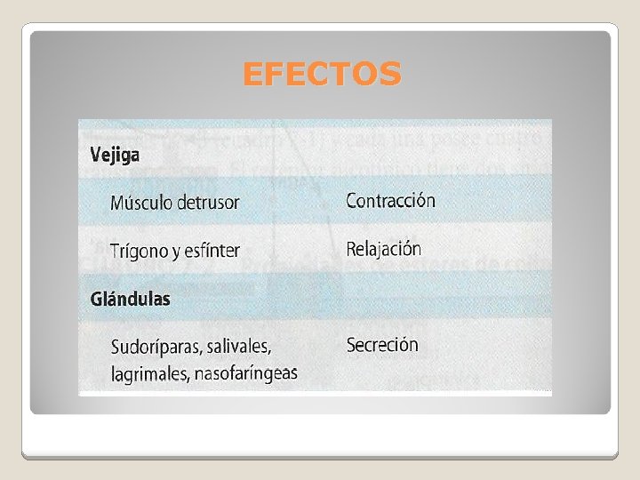 EFECTOS 