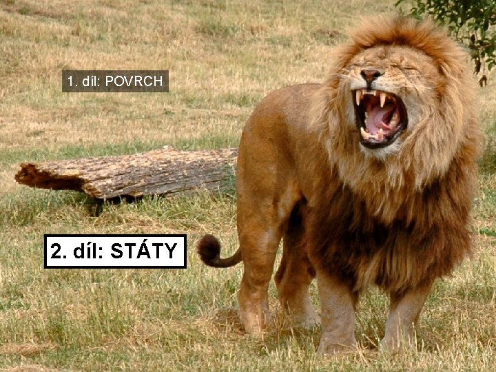 1. díl: POVRCH 2. díl: STÁTY 