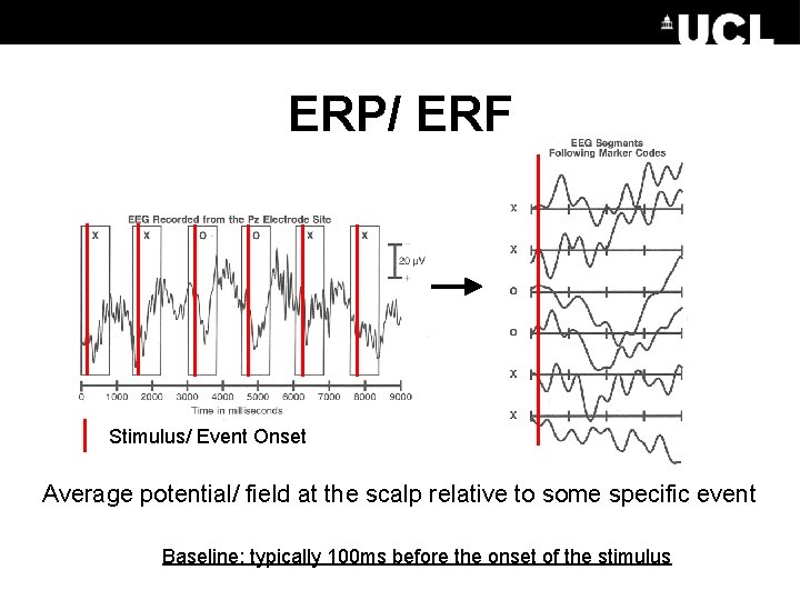 ERP/ ERF Stimulus/ Event Onset Average potential/ field at the scalp relative to some