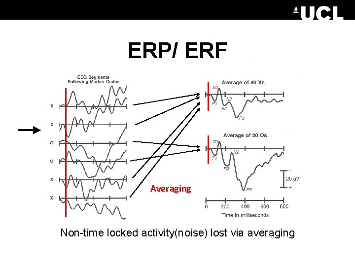 ERP/ ERF Averaging Non-time locked activity(noise) lost via averaging 