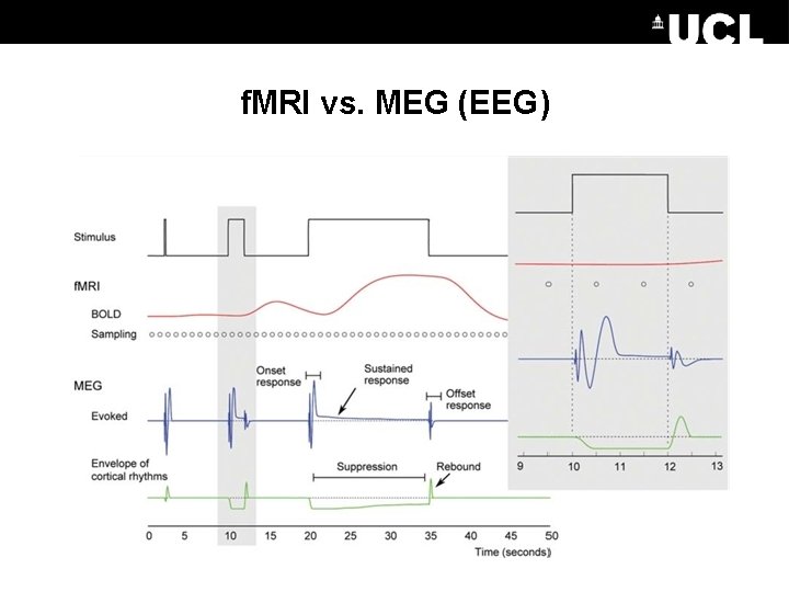 f. MRI vs. MEG (EEG) 