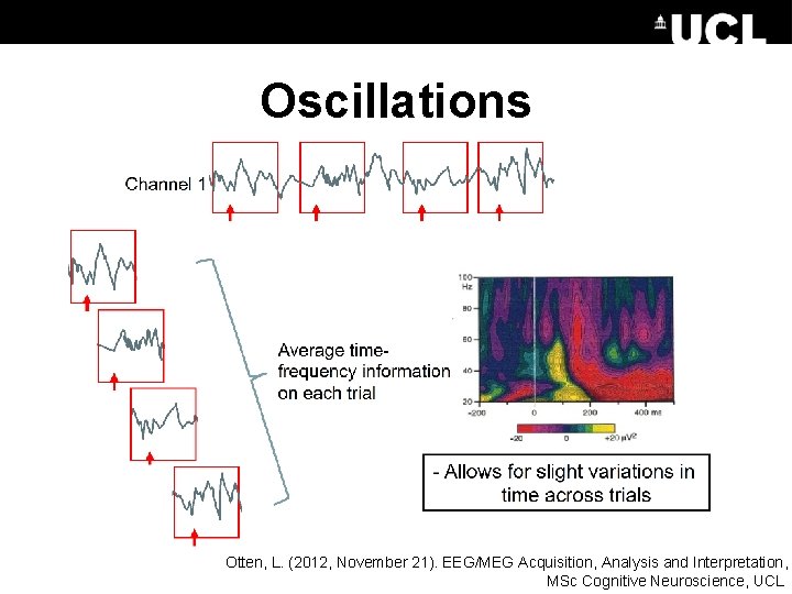 Oscillations Otten, L. (2012, November 21). EEG/MEG Acquisition, Analysis and Interpretation, MSc Cognitive Neuroscience,