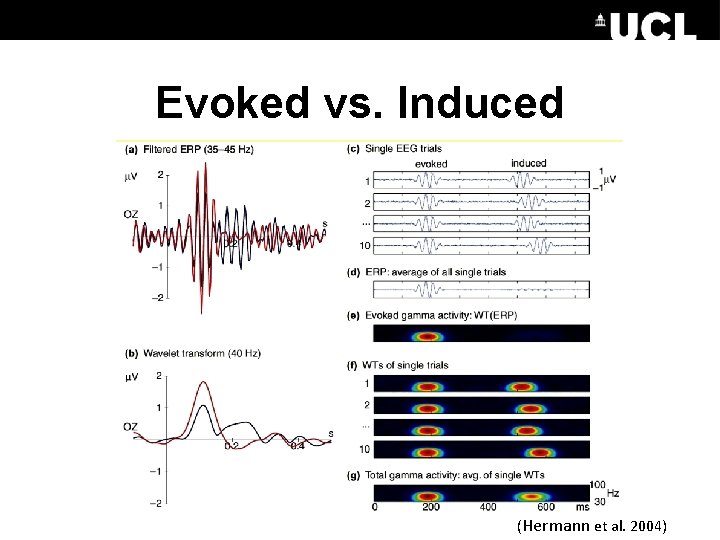 Evoked vs. Induced (Hermann et al. 2004) 