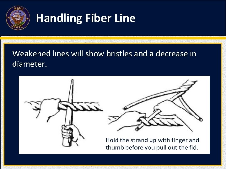 Handling Fiber Line Weakened lines will show bristles and a decrease in diameter. Handling Fiber Line Weakened lines will show bristles and a decrease in diameter.
