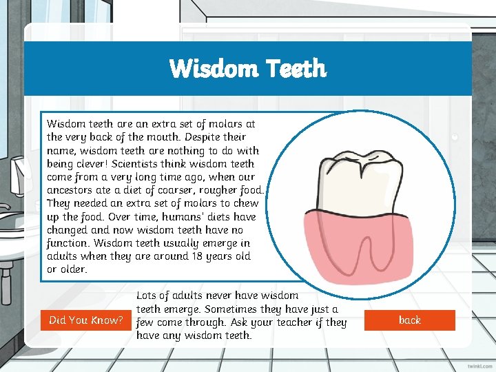 Wisdom Teeth Wisdom teeth are an extra set of molars at the very back