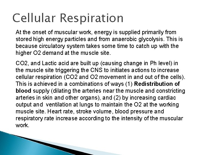 Cellular Respiration At the onset of muscular work, energy is supplied primarily from stored